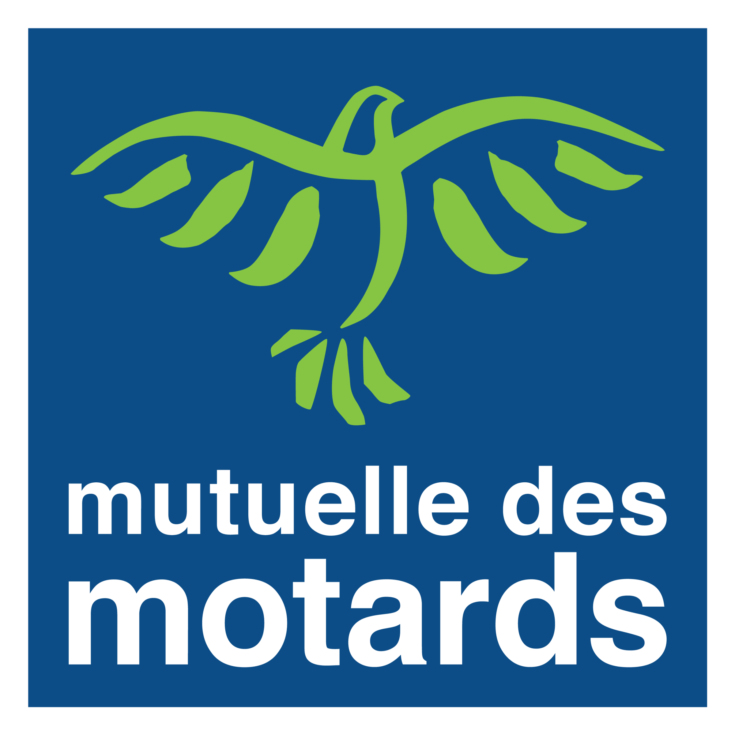ASSURANCE MUTUELLE DES MOTARDS